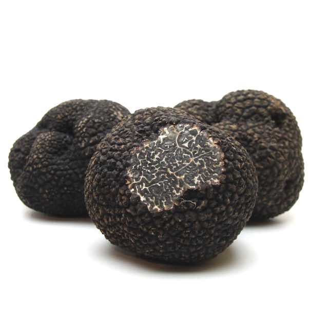 Perigordtrüffel